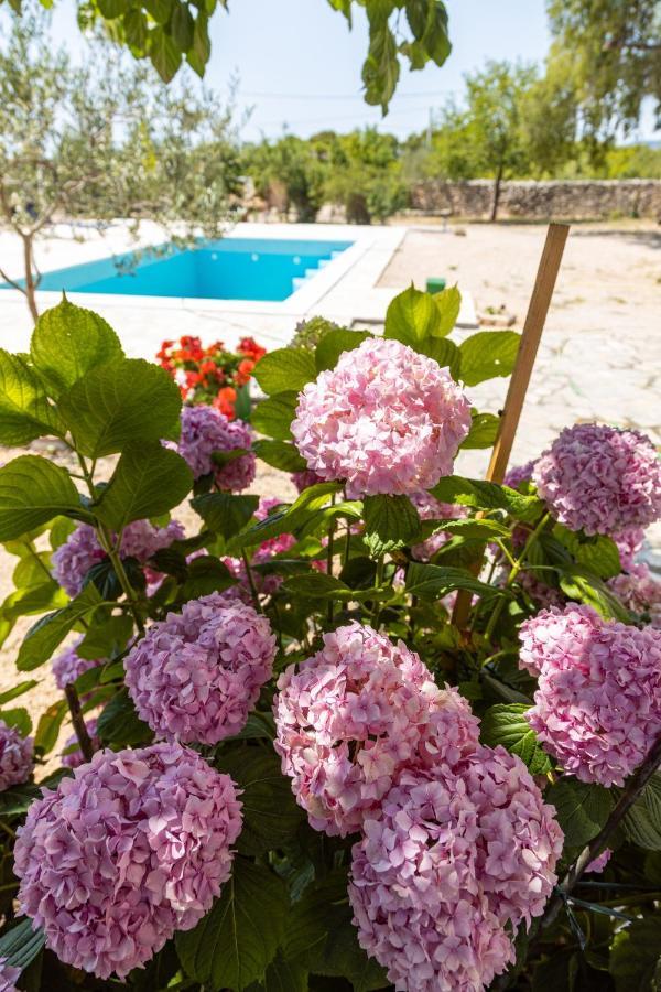 Marcelovi Dvori Bed & Breakfast Pirovac Exterior foto